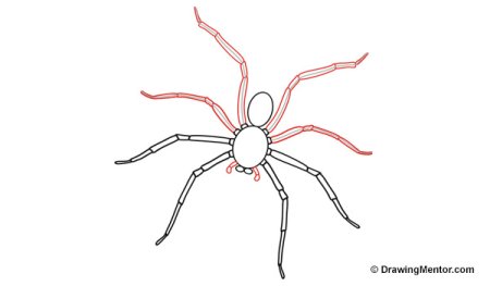Паук Каракурт нарисовать