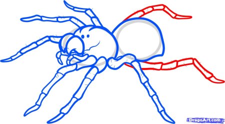 Лёгкие рисунки паука