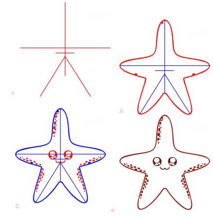 Поэтапное рисование морской звезды