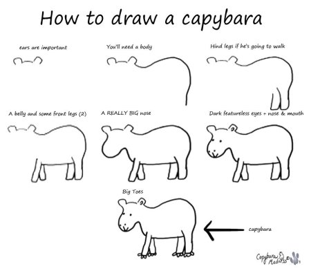 Капибара выкройка
