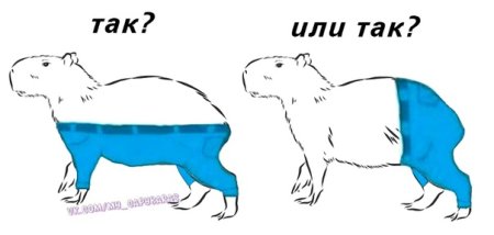 Капибара выкройка