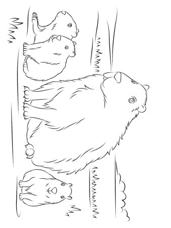 Capybara рисунок лёгкий