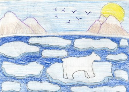 Арктика рисунок