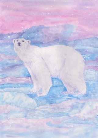 Рисование «белый медведь и Северное сияние» Лыкова