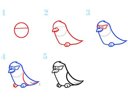 Поэтапное рисование орла