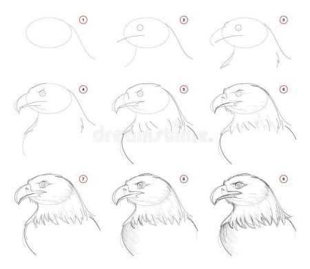 Нарисовать орла пошагово