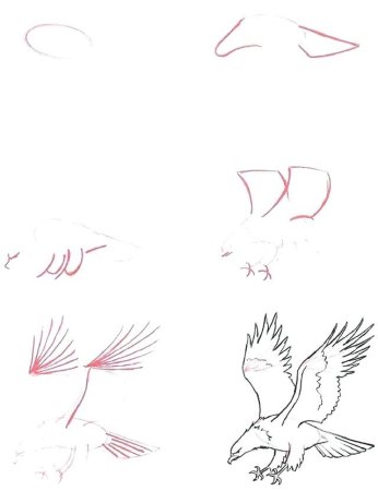 Птица рисунок легкий