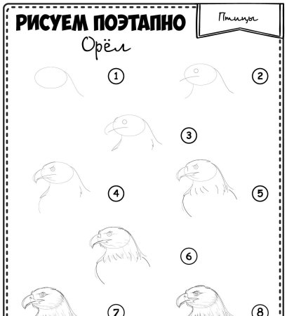 Как нарисовать орла пошагово