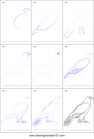 Нарисовать орла пошагово