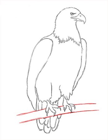 Орёл рисунок карандашом поэтапно