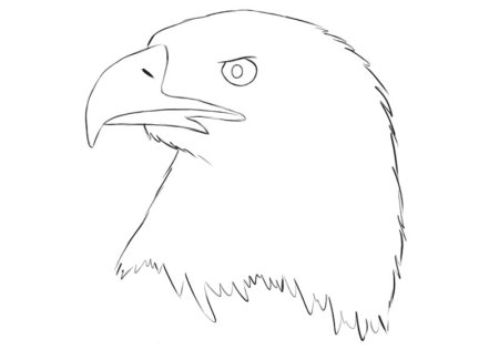 Орел простым карандашом
