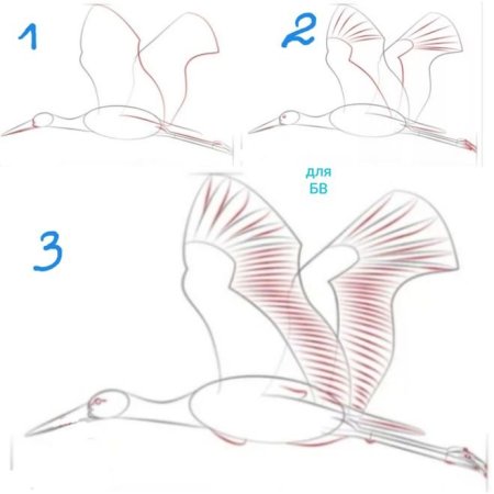 Поэтапное рисование аиста для детей
