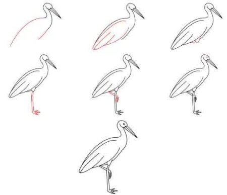 Поэтапное рисование аиста