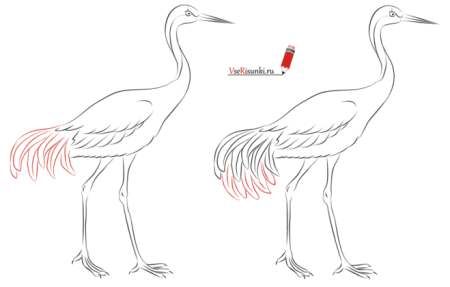 Поэтапное рисование аиста