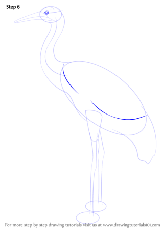 Цапля рисунок для детей поэтапно