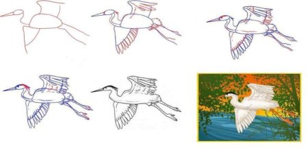 Журавль поэтапное рисование