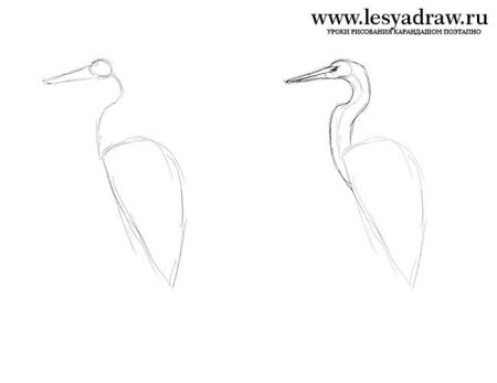 Цапля карандашом