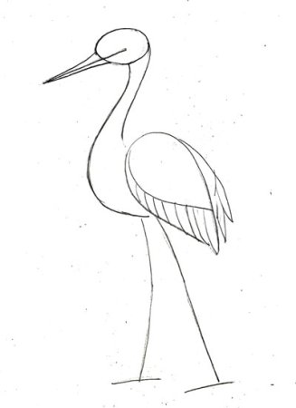 Цапля рисунок карандашом
