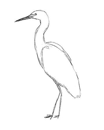 Нарисовать журавля