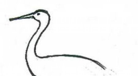 Рисунок летящего журавля поэтапно