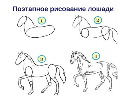 Лёгкая обучалка по рисованию лошади