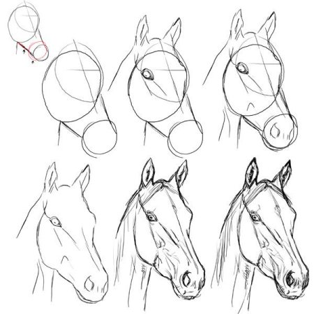 Лошадь в профиль рисунок поэтапно (52 фото) » рисунки для срисовки на  Газ-квас.ком