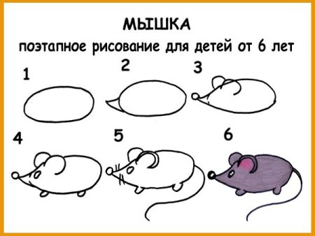 Мышь поэтапное рисование для дошкольников