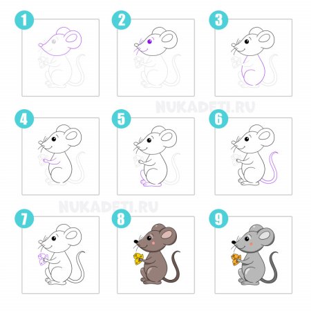 Схема рисования мышки для дошкольников