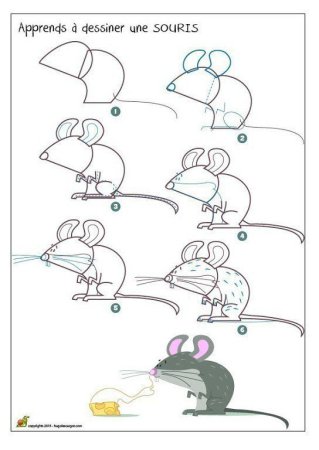 Мышь поэтапное рисование для дошкольников