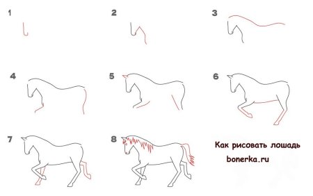 Конёк-горбунок рисунок карандашом