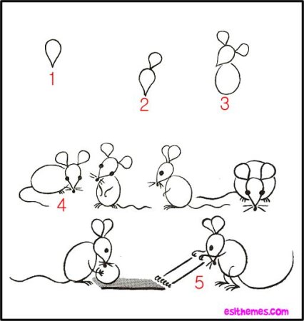 Схема рисования мышки для детей