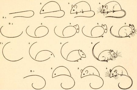 Мышка поэтапное рисование для детей