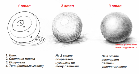 Основы светотени в рисунке карандашом