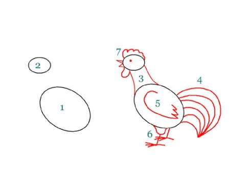 Поэтапное рисование петуха