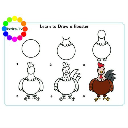 Поэтапное рисование петуха для дошкольников