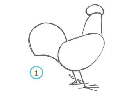 Поэтапное рисование петушка