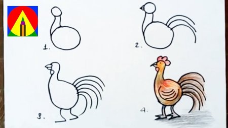 Как нарисовать петуха
