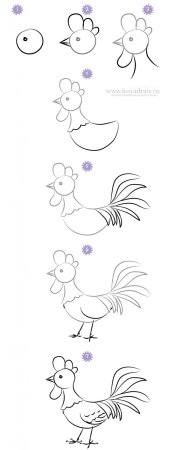 Поэтапное рисование петуха