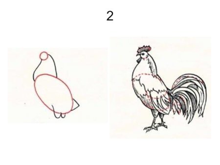 Рисованный петух для презентации