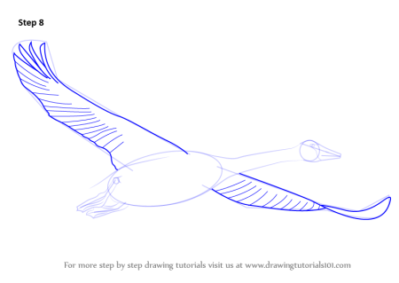 Как нарисовать летящего лебедя поэтапно
