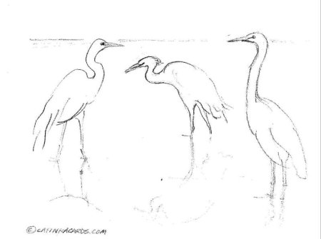 Журавль карандашом