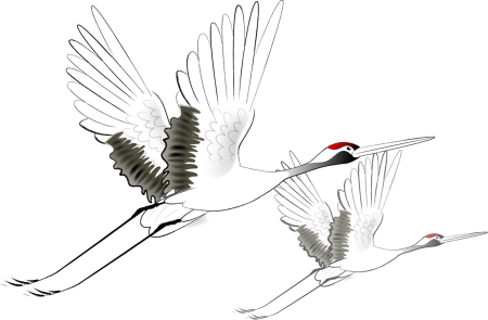 Журавль в полете рисунок
