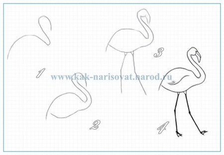 Схема рисования Фламинго