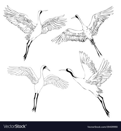 Журавль в полете Графика