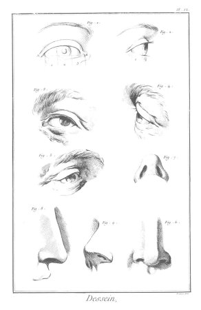 Баммес анатомия нос