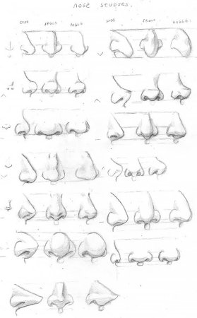 Нос с горбинкой референс 3/4