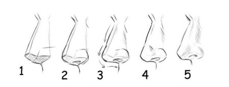 Схема рисования носа