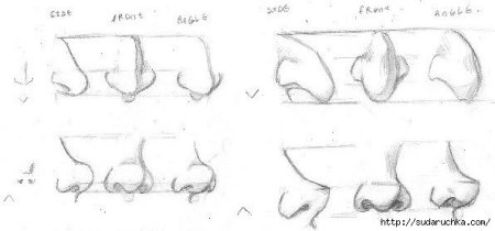 Как рисовать нос пропорции