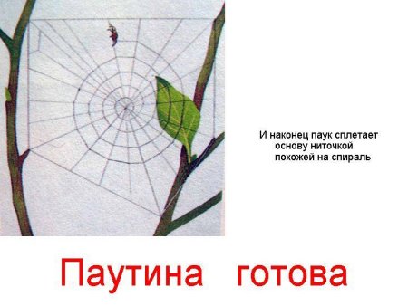 Дорисуй паутину