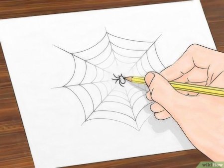Рисование паутины 2 класс
